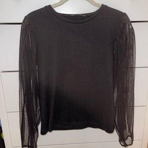 Zara Sheer Long Sleeve Top